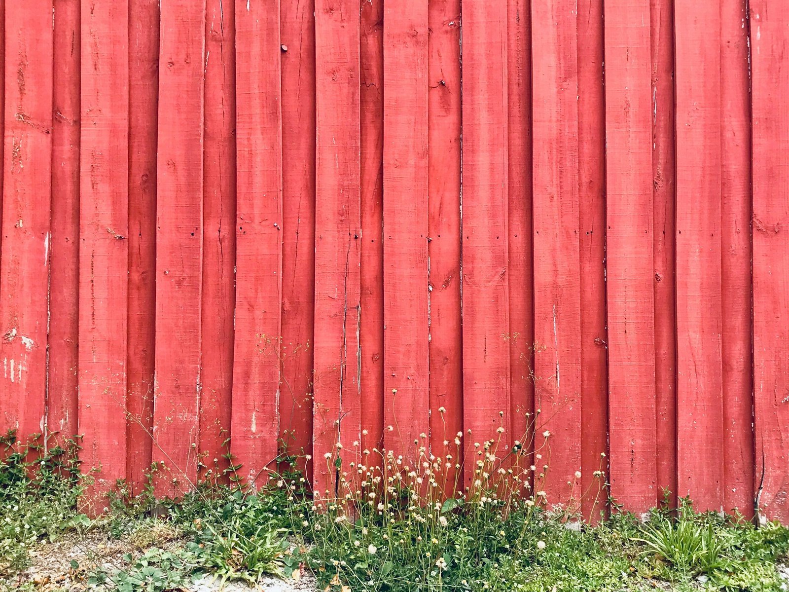 red wooden fence on green grass